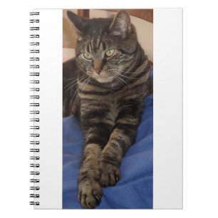 Regal Dave Foto Notebook (80 Seiten) Notizblock