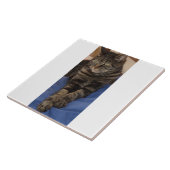 Regal Dave Foto Tile Fliese (Seite)