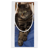 Regal Dave Gift Bag Kleine Geschenktüte (Vorderseite)