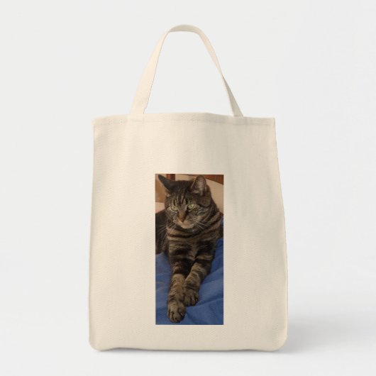 Regal Dave Grocery Tasche (Vorne)