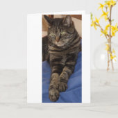 Regal Dave Grußkarten Karte (Gelbe Blume)