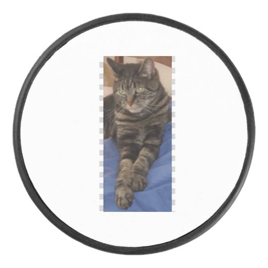 Regal Dave Hockey Puck (Vorderseite)