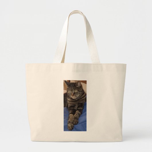 Regal Dave Jumbo Tasche (Vorne)