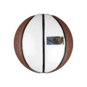 Regal Dave Mini Basketball (Vertikal)
