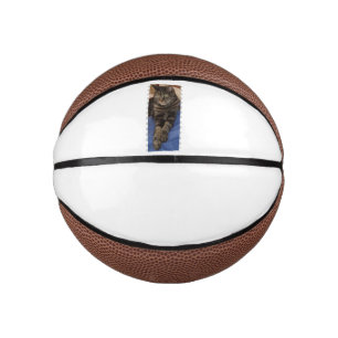 Regal Dave Mini Basketball