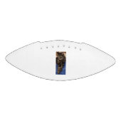 Regal Dave Mini Football (Panel)