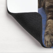 Regal Dave Mousepad (Ecke)