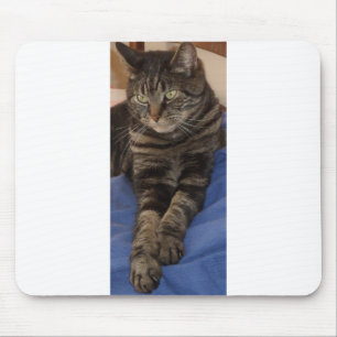 Regal Dave Mousepad