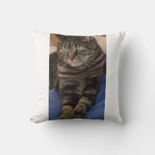 Regal Dave Polyester Cushion 41 cm x 41 Kissen