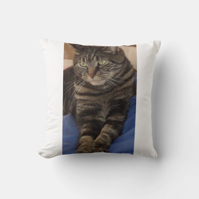 Regal Dave Polyester Cushion 41 cm x 41 Kissen (Vorderseite)