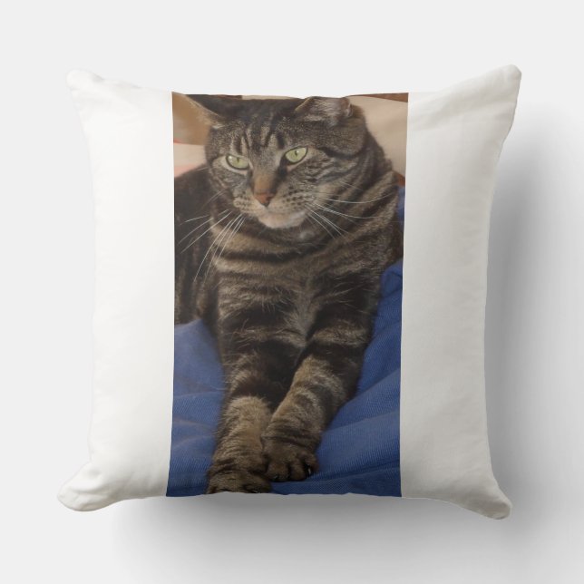 Regal Dave Polyester Cushion Kissen (Vorderseite)