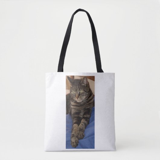 Regal Dave Shoulder Tote Bag Tasche (Vorderseite)