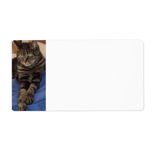 Regal Dave Sipping Labels (Vorne)