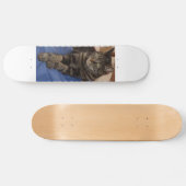 Regal Dave Skateboard (Horizontal)