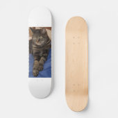 Regal Dave Skateboard (Vorderseite)