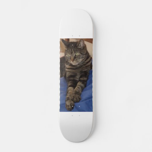 Regal Dave Skateboard (Vorderseite)