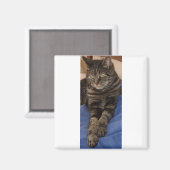 Regal Dave Square Magnet (Vorderseite/Rückseite)