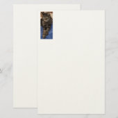 Regal Dave Stationery Briefpapier (Vorne/Hinten)