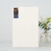 Regal Dave Stationery Briefpapier (Stehend Vorderseite)