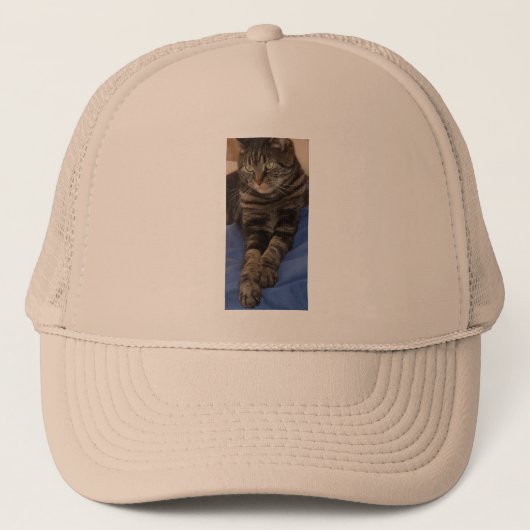 Regal Dave Truckerkappe (Vorderseite)