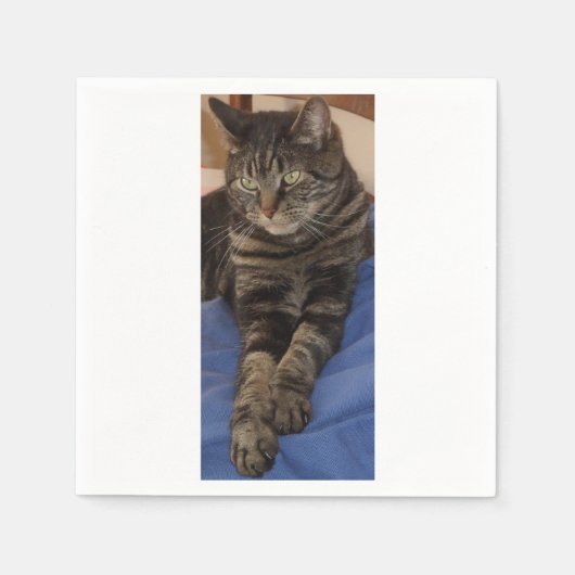 Regal Dave White Standard Napkins Serviette (Vorderseite)