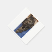 Regal Dave White Standard Napkins Serviette (Ecke)