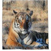 Regal Duschvorhang (Vorderseite)