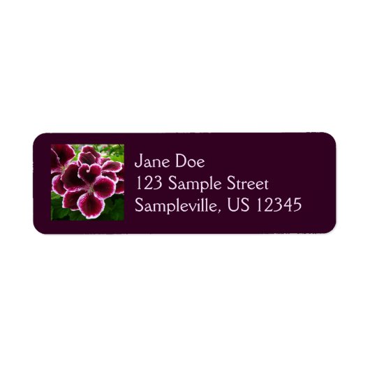 Regal Geranium Flowers Elegant Maroon Floral Lugga (Vorne)