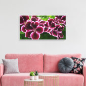 Regal Geranium Flowers Elegant Maroon Floral Lugga Leinwanddruck (Insitu (Wohnzimmer))