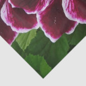 Regal Geranium Flowers Elegant Maroon Floral Lugga Seidenpapier (Detail)