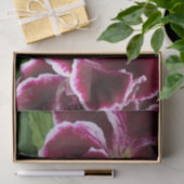 Regal Geranium Flowers Elegant Maroon Floral Lugga Seidenpapier (Geschenk)