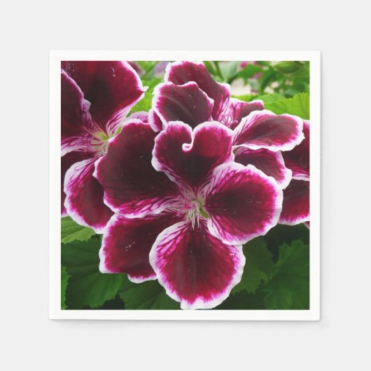 Regal Geranium Flowers Elegant Maroon Floral Lugga Serviette (Vorderseite)