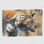 Regal Golfhandtuch (Horizontal)