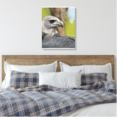 Regal Harpy Eagle Leinwanddruck (Insitu (Schlafzimmer))