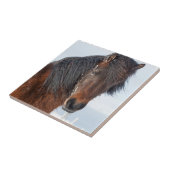 Regal Icelandic Horse Headshot Fliese (Seite)