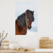 Regal Icelandic Horse Headshot Poster (Küche)
