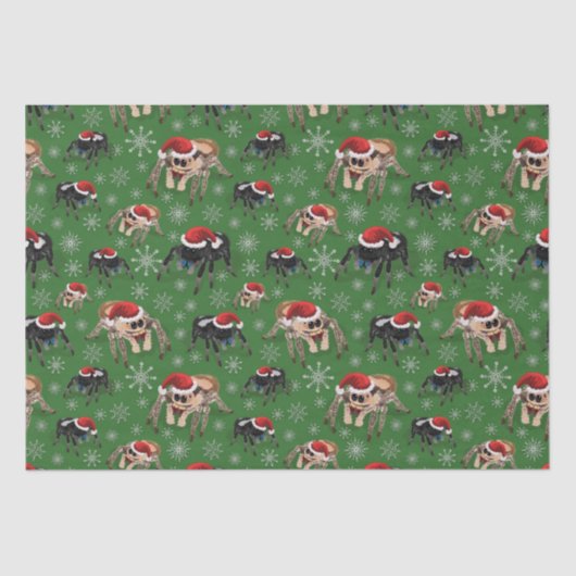 Regal Jumping Spider Phiddipus Regius Holiday Moss Seidenpapier (Vorderseite)