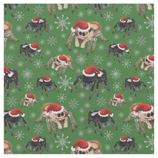 Regal Jumping Spider Phiddipus Regius Holiday Moss Stoff (Nahaufnahme)