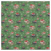 Regal Jumping Spider Phiddipus Regius Holiday Moss Stoff (Muster)