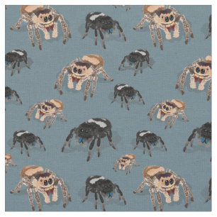 Regal Jumping Spider Phiddipus Regius Stoff