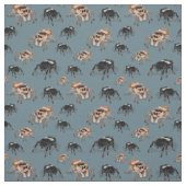 Regal Jumping Spider Phiddipus Regius Stoff (Muster)