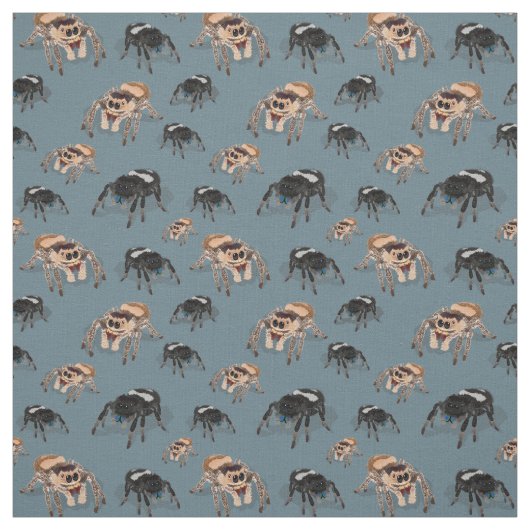 Regal Jumping Spider Phiddipus Regius Stoff (Muster)