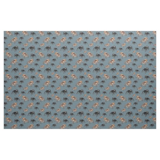 Regal Jumping Spider Phiddipus Regius Stoff (Fat Quarter (45,7 x 55,9 cm))