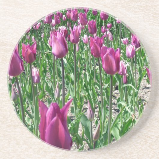 Regal Lila Tulips Getränkeuntersetzer (Vorne)