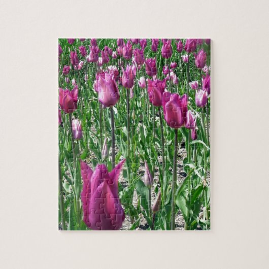 Regal Lila Tulips Puzzle (Vertikal)