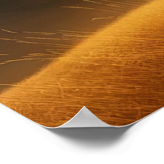 Regal Lion with Crown - Majestic Wildlife Art Poster (Ecke)