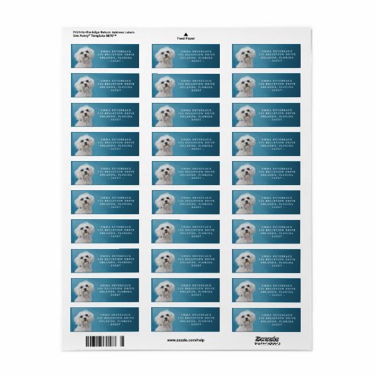 Regal Maltese Hunde-Rücksendeadresse (Vorne)