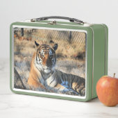 Regal Metall Brotdose (Beispiel)