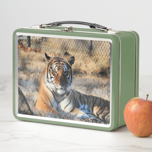 Regal Metall Brotdose (Beispiel)