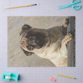 Regal Mops Decoupage Seidenpapier (Basteln)